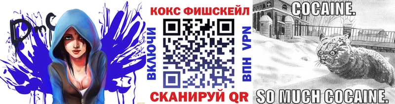 Cocaine Эквадор  купить   ОМГ ОМГ онион  Сланцы 
