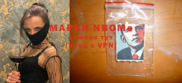 спиды Ельня