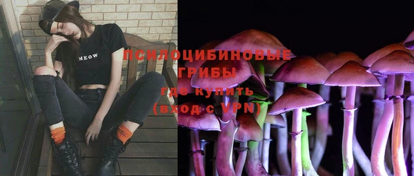 спиды Ельня