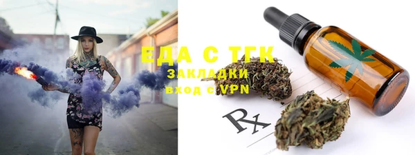 спиды Ельня