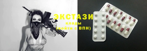 спиды Ельня