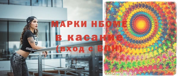 спиды Ельня