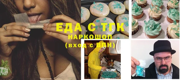 спиды Ельня