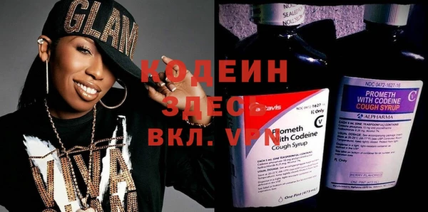спиды Ельня