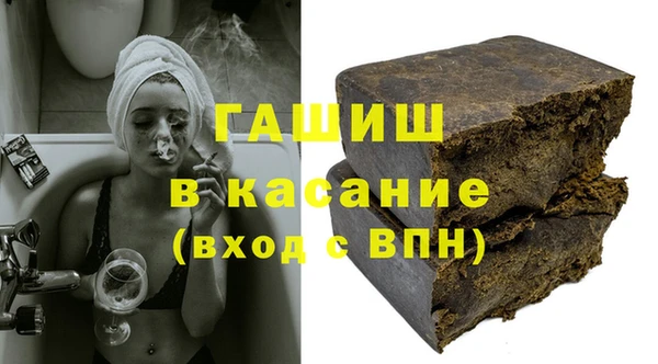 спиды Ельня