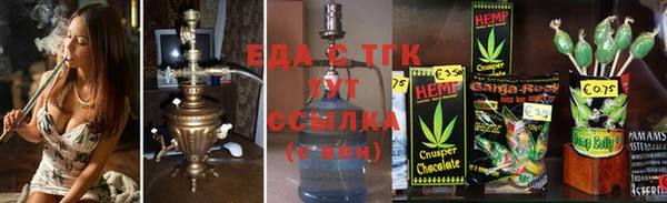 спиды Ельня