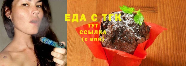 спиды Ельня