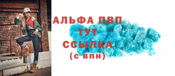 спиды Ельня
