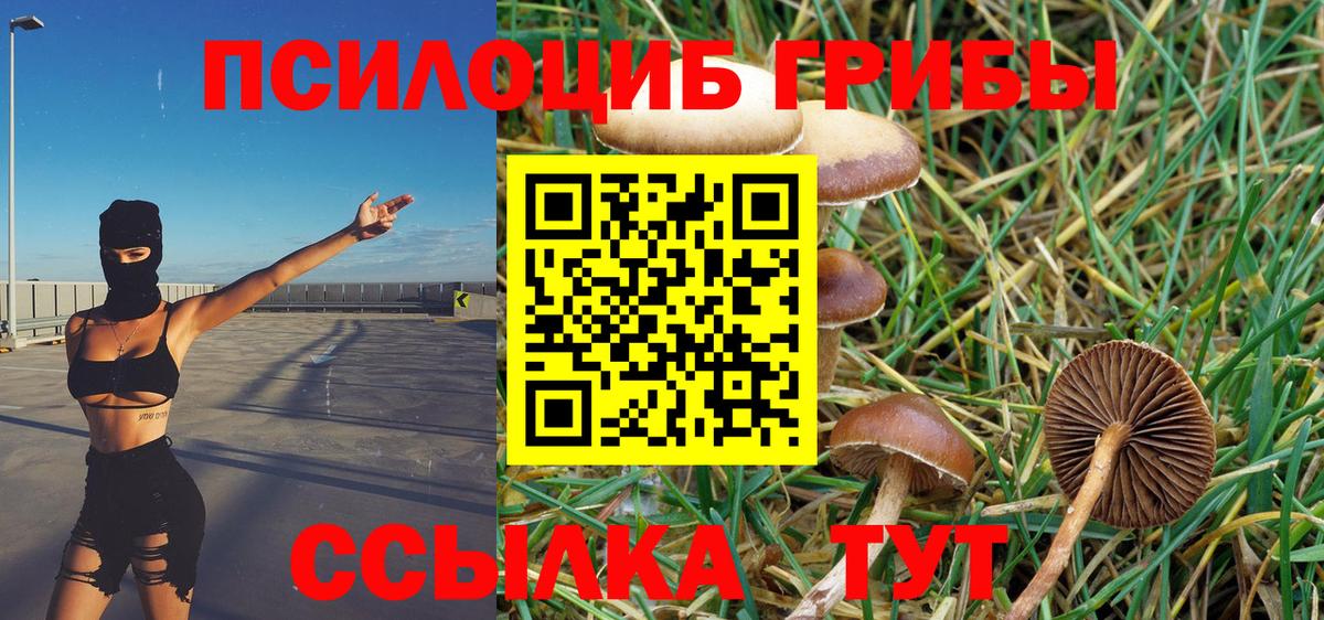 Псилоцибиновые грибы прущие грибы Сланцы
